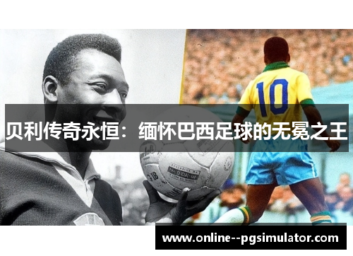 贝利传奇永恒：缅怀巴西足球的无冕之王