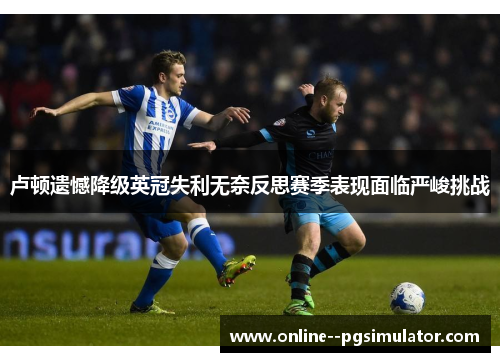 卢顿遗憾降级英冠失利无奈反思赛季表现面临严峻挑战