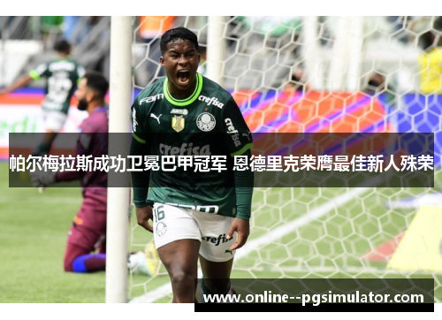 帕尔梅拉斯成功卫冕巴甲冠军 恩德里克荣膺最佳新人殊荣 帕尔梅拉斯成功卫冕巴甲冠军 恩德里克荣膺最佳新人殊荣