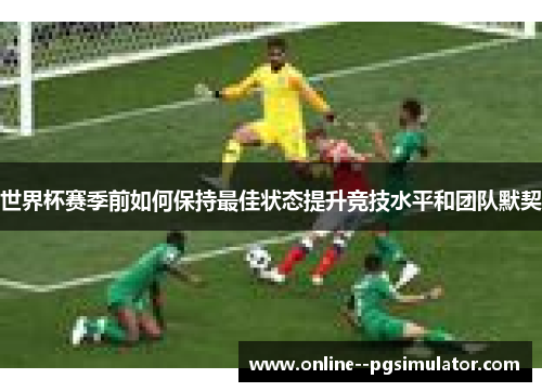 世界杯赛季前如何保持最佳状态提升竞技水平和团队默契